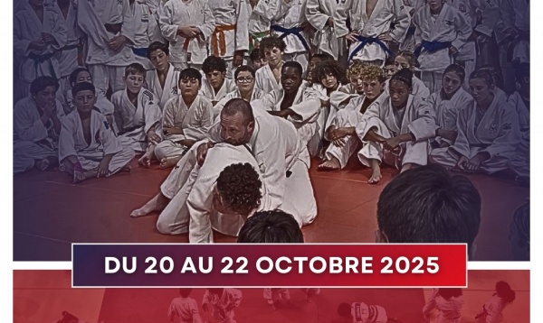 STAGE IDF MINIMES